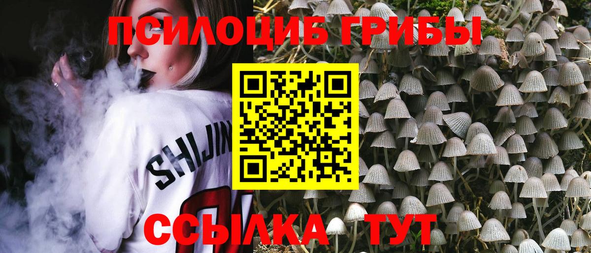 Галлюциногенные грибы Psilocybine cubensis  наркота  Тавда  Вход с VPN 